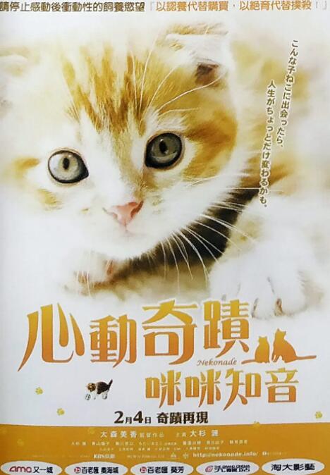 小猫奇缘